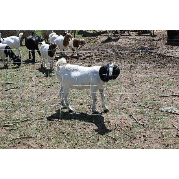 Starkline 42in x 164ft Multi-Purpose Electric Netting for Goats, Sheep and More - Image 4