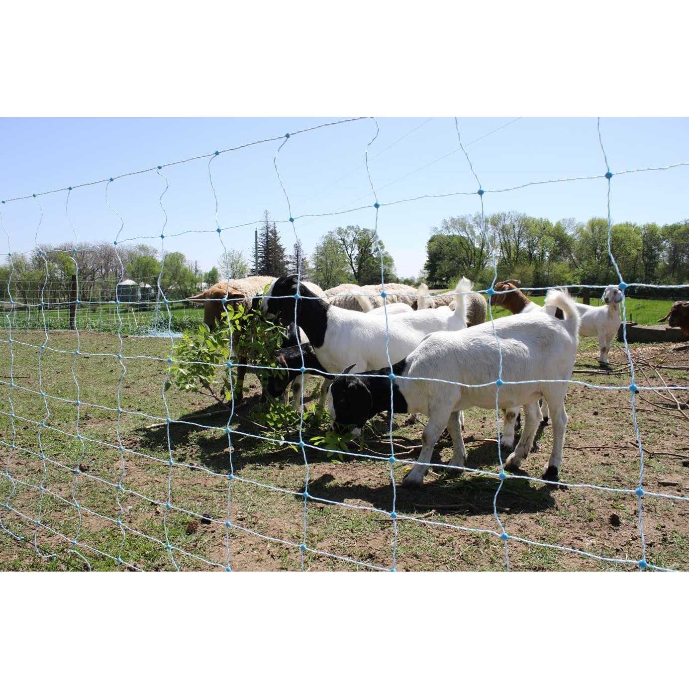 Starkline 42in x 164ft Multi-Purpose Electric Netting for Goats, Sheep and More - Image 5