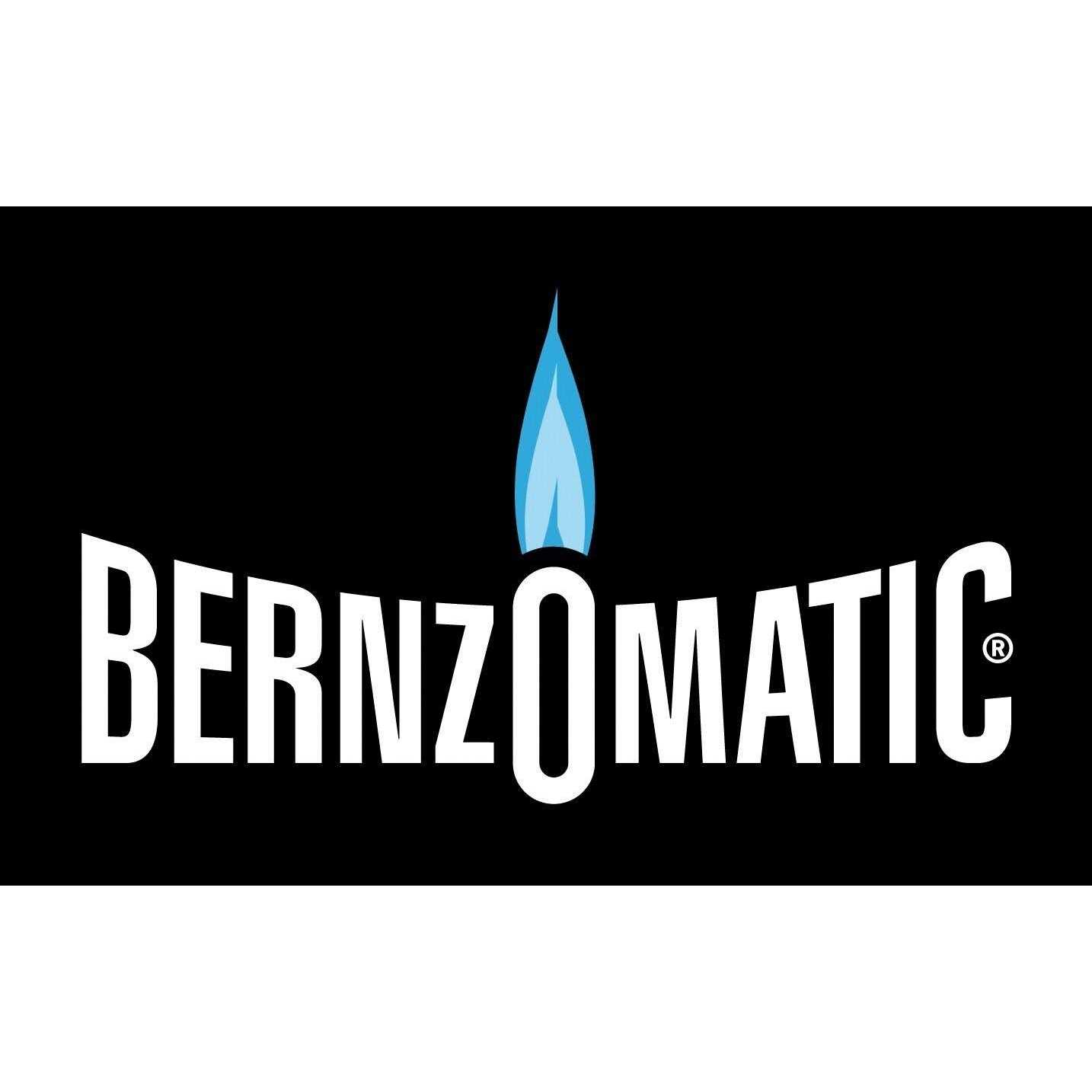 Bernzomatic Butane Cylinder - Image 4