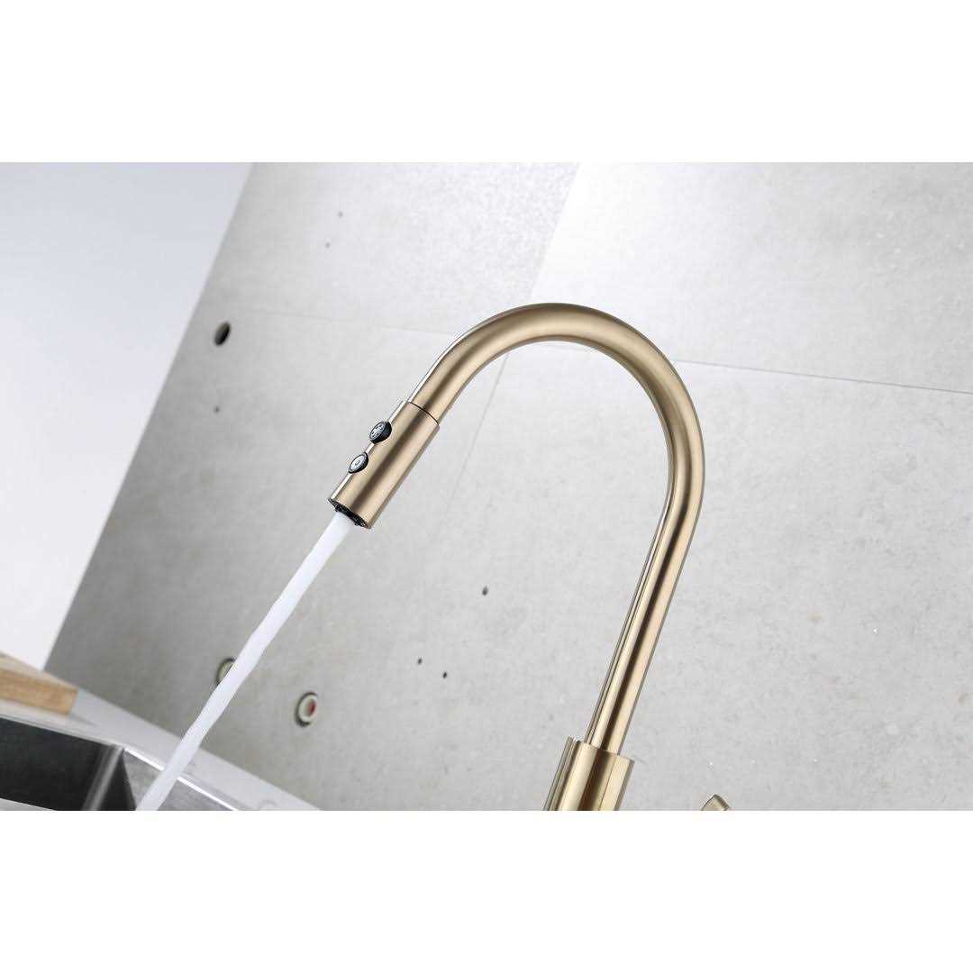 Runfine Single-Handle Pull-Down Sprayer Standard Kitchen Faucet with Spray Options RF426007 - Image 2